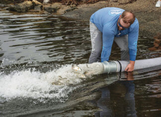 Redfish Release into the Choctawhatchee Bay