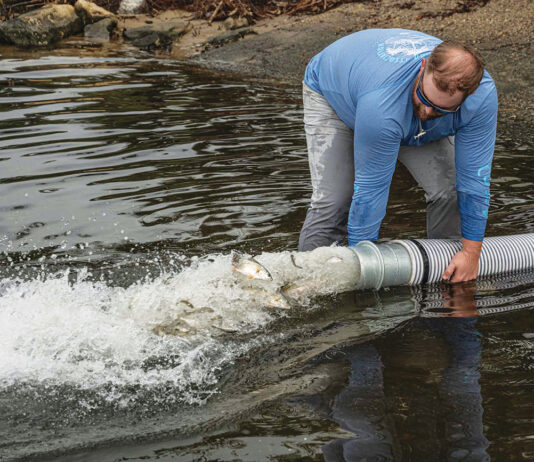Redfish Release into the Choctawhatchee Bay