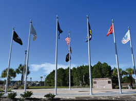 Womens Veterans Day