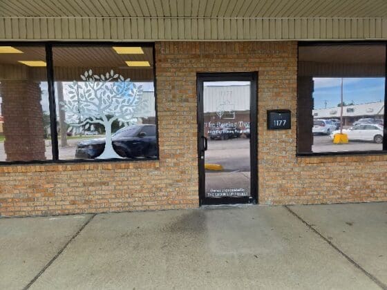 0c3f2f 55bffdb5651f495c9d03028b4f7c3131~mv2.jpg