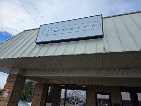 0c3f2f e05586182a944f3794508c2f4c6fd243~mv2.jpg