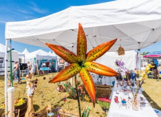 Festival of the Arts Marks 30 Years of Color, Creativity and Community 161030 MKAF Festival of the Arts 019 3000