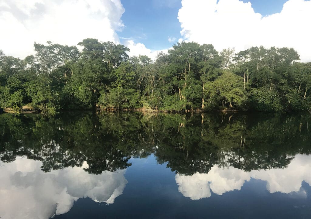 CBA Photo Winner Guy Donaldson 1