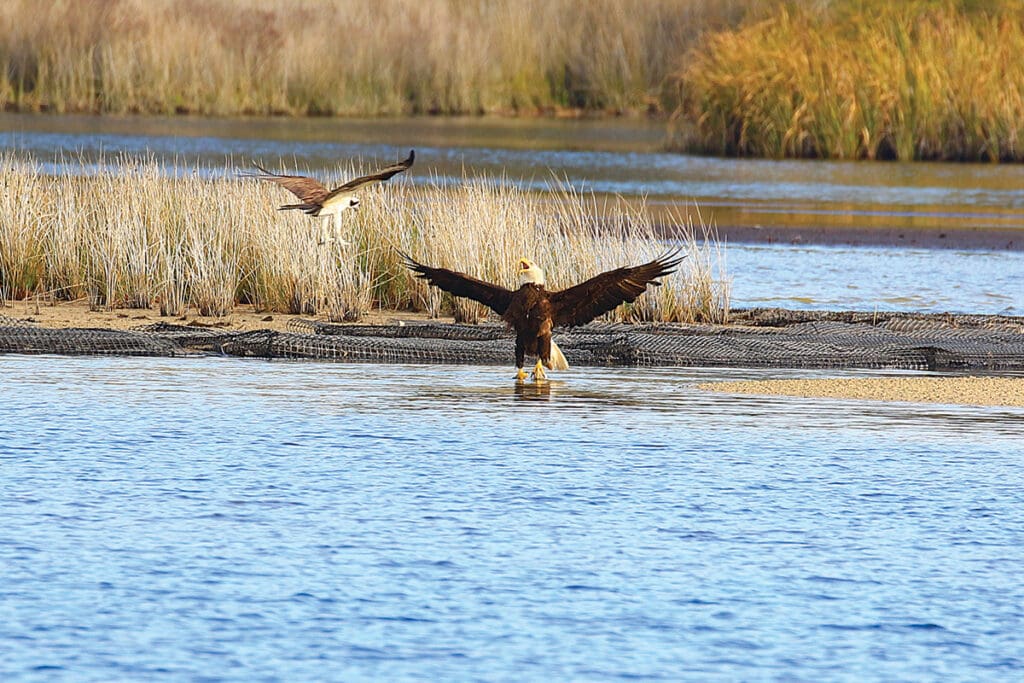 CBA Photo Winner Richard Ives 1