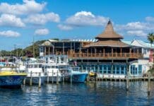 Best Places to Watch Your Favorite Teams AJs Seafood Oyster Bar