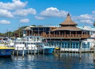 Best Places to Watch Your Favorite Teams AJs Seafood Oyster Bar