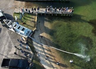 25,000 Juvenile Redfish Released into Cinco Bayou to Boost Local Fisheries Redfish1