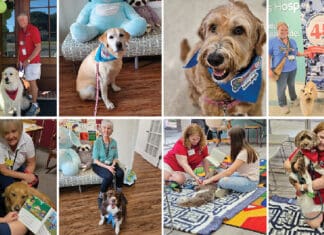 Thanks to Dog-Harmony, More Tails Are Wagging in Niceville Dog Harmony Collage