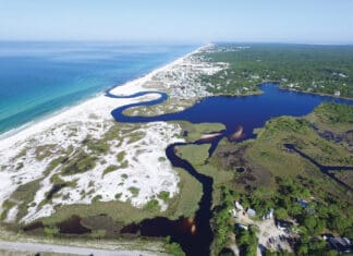 Coastal Dune Lakes at State Parks Grayton Beach State Park (1)