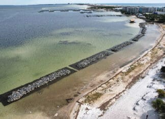 Living Shoreline Enhances Choctawhatchee Bay Livingshoreline1
