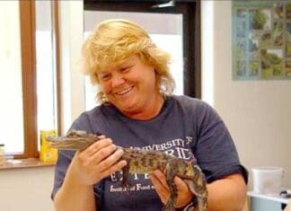 Bay Buzz New Extension Dunning shares a smile with an alligator