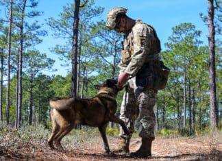 Paws that Protect: The Military Working Dogs Defending Hurlburt Field Paws that Protect 240130 F QE874 1186