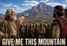 A Pastor’s Ponderings: “Give Me This Mountain” 20260515 Give me this Mountain horizontal