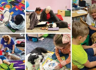 Paws and Pages: Dog-Harmony Brings Animal-Assisted Children’s Literacy Program to Niceville Paws and Pages lg