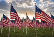 250 Years of Freedom, One Field of Gratitude Armament Museum Field of Flags