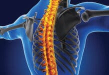 What Is Chiropractic? Reset Room 6 26 Spine