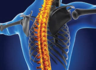 What Is Chiropractic? Reset Room 6 26 Spine