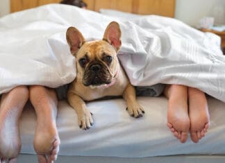 Your Best Medicine Might Be a Good Night’s Sleep Sleep iStock 166272951
