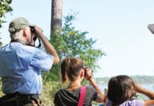 Bay Buzz Audubon BirdTrip3 (1)
