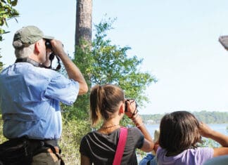 Bay Buzz Audubon BirdTrip3 (1)