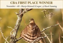 Choctawhatchee Basin Alliance Announces 2026 Amateur Photo Contest Winners ChatGPT Image Sep 5, 2026, 04 38 09 PM
