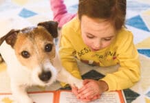 One Child, One Book, One Patient Dog: How Dog-Harmony Builds Confident Readers iStock 2098895981